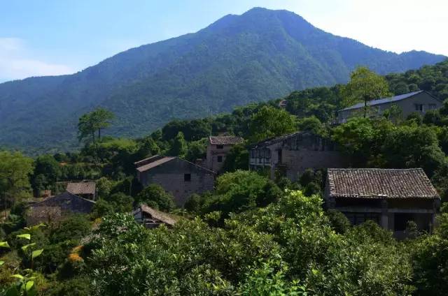 瓯海茶山有个石头村,古韵流光 时光美好