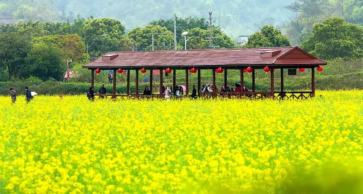 【3月19日周日】行摄广州最美山村 · 红山村——逛广东小婺源,品红山