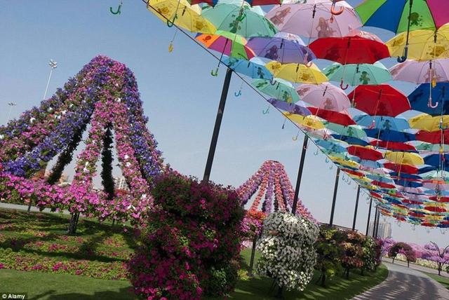 洛阳中国薰衣草庄园2017梦幻花海节4月1日盛大启幕