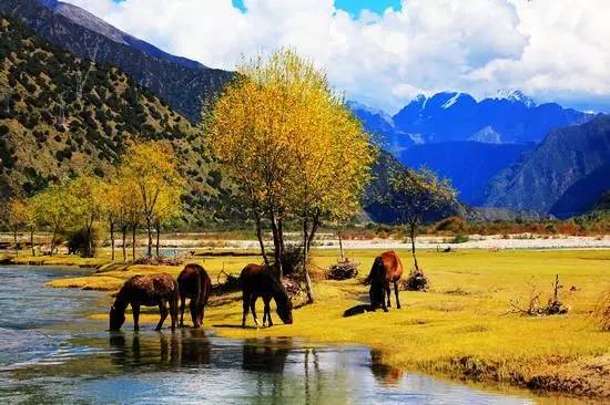 林芝地区人口_林芝地区旅游景点地图