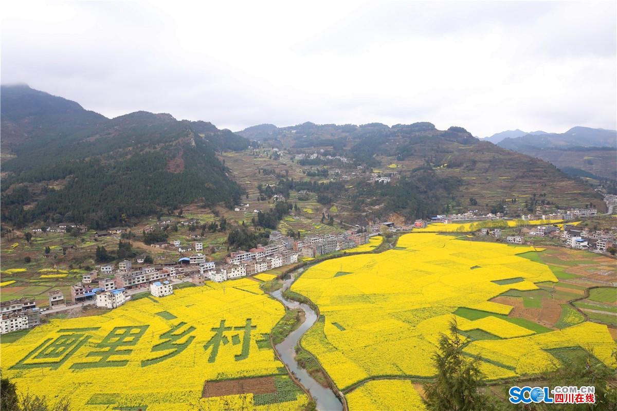 古蔺县"2017双沙菜花旅游开放月"拉开序幕