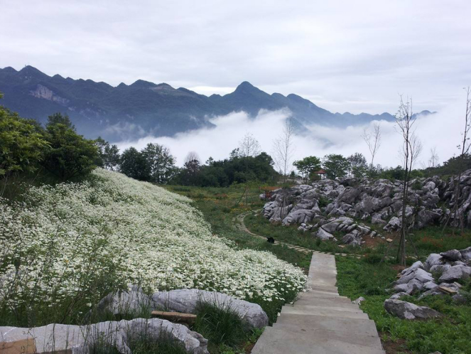 情定北川,邂逅药王谷