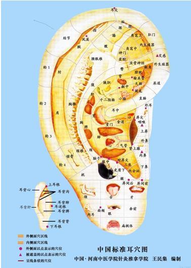 中医早就有通过观察耳朵的色泽,形态的变化来诊断和鉴别疾病的发展