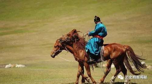 马类发展史:世界唯一野马曾存新疆 引多国抢夺
