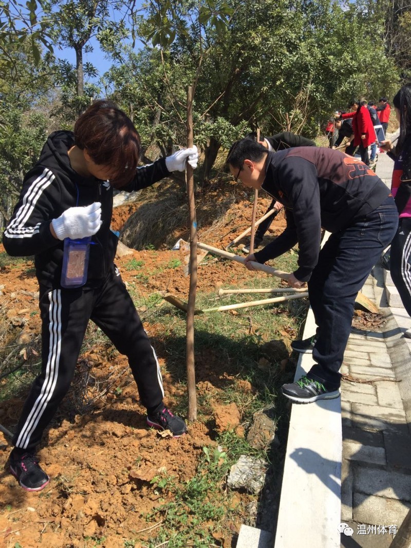 响应植树节号召 共建美丽温州