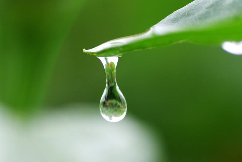 雨滴