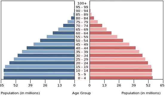 人口结构金字塔_日本老年人就业和妇女就业并不是浪漫曲,中国怎么办(2)