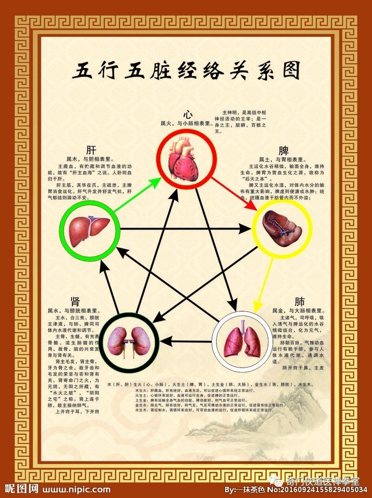 五行经络五行经络图