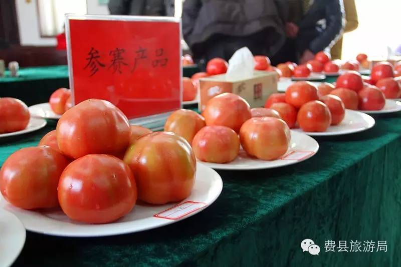 户自产西红柿三,比赛地点:胡阳镇现代农业示范园盛农(朱学义)采摘园二