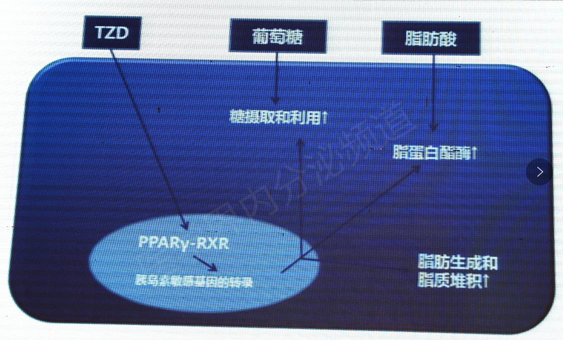 噻唑烷二酮类(tzds)