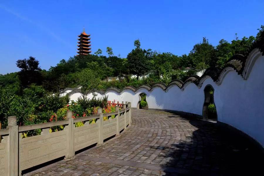 宣传活动还包括在铁山坪森林公园,缙云山自然保护区,鸿恩寺森林公园