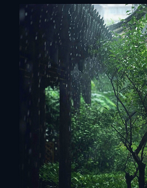 小楼一夜听春雨|品图