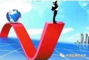 人口政策研究_上海人口发展与人口政策问题研究(2)