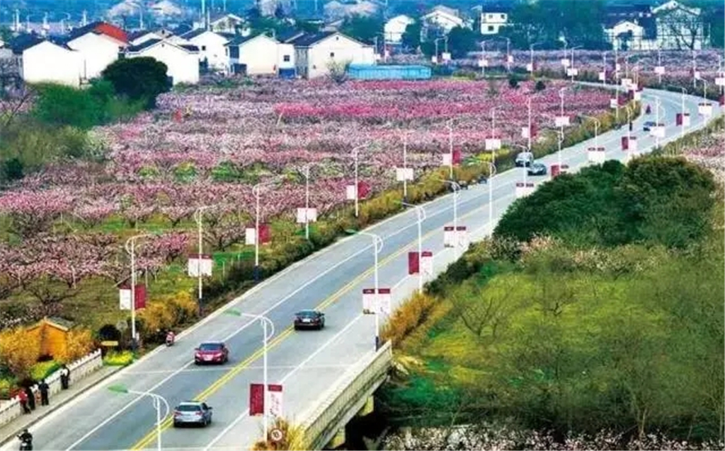 现实版的 十里桃花 ,中国水蜜桃之乡看桃花