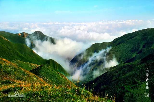 华山县人口_年阴县华山风景图片(2)