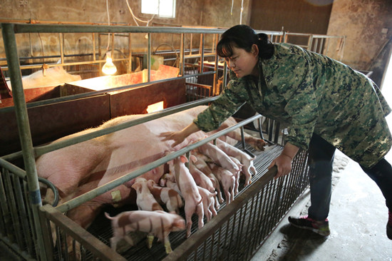 资本运作下 生猪养殖全产业链才可破解猪周期