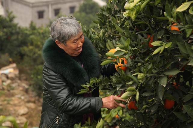 郭明安:年过花甲的尿毒症老人心里只想着一件事