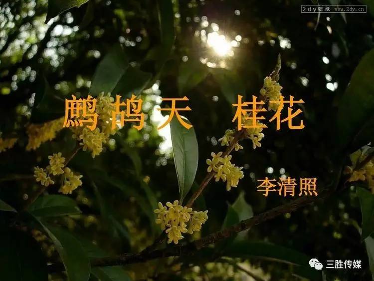 江南桂花香简谱_江南桂花香(2)