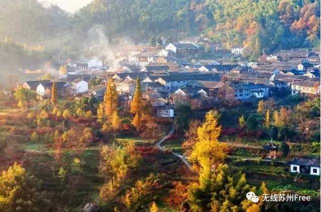 地址:宁波余姚市大岚镇柿林村