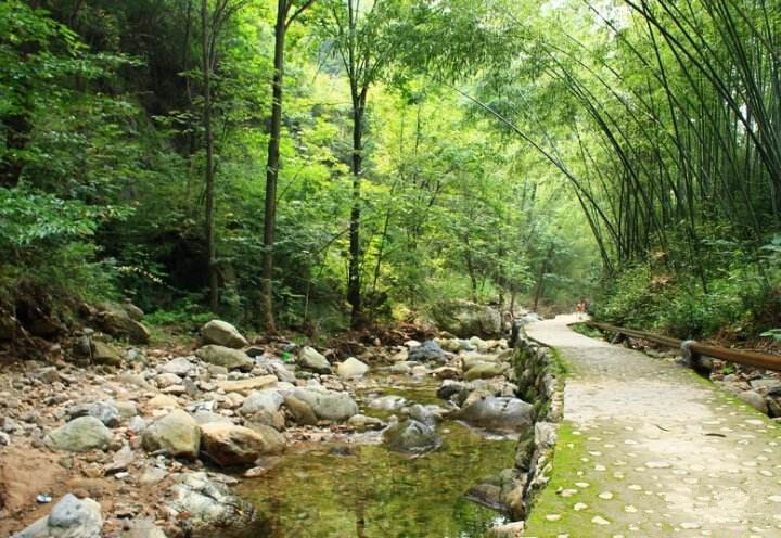 寨沟又称竹子沟,景区内大小竹园60多个,竹林面积达850余亩,更有"御