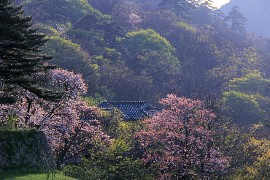 再过2天,合肥人免费游黄山!连续7天,走起!