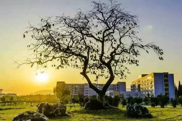 合肥学院地址几个校区_合肥学院建新校区_合肥学院新校区地址