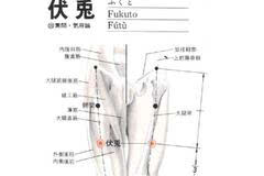 在大腿前面,当髂前上棘与髌底外侧端的连线上,髌底上6寸.