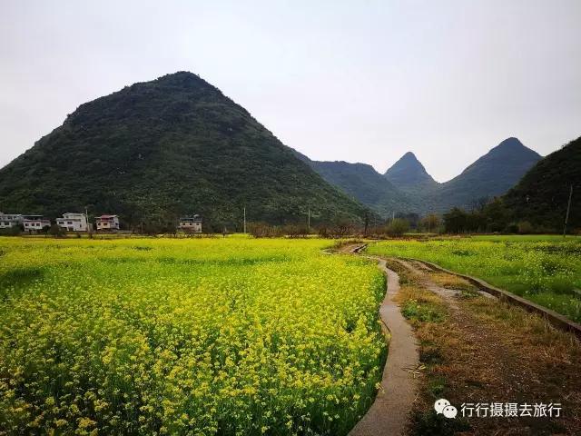 桂林古香古色大圩雄村,下次散心的时候一定要去!