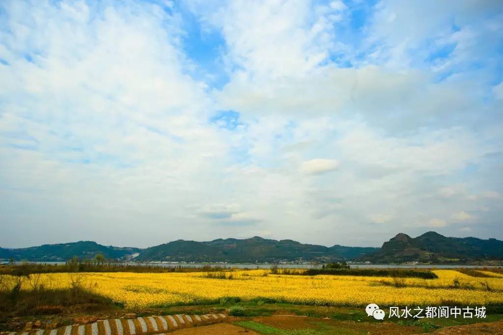 阆中七里滨江路:阳春三月,春风荡漾,咋能不去浪一浪?