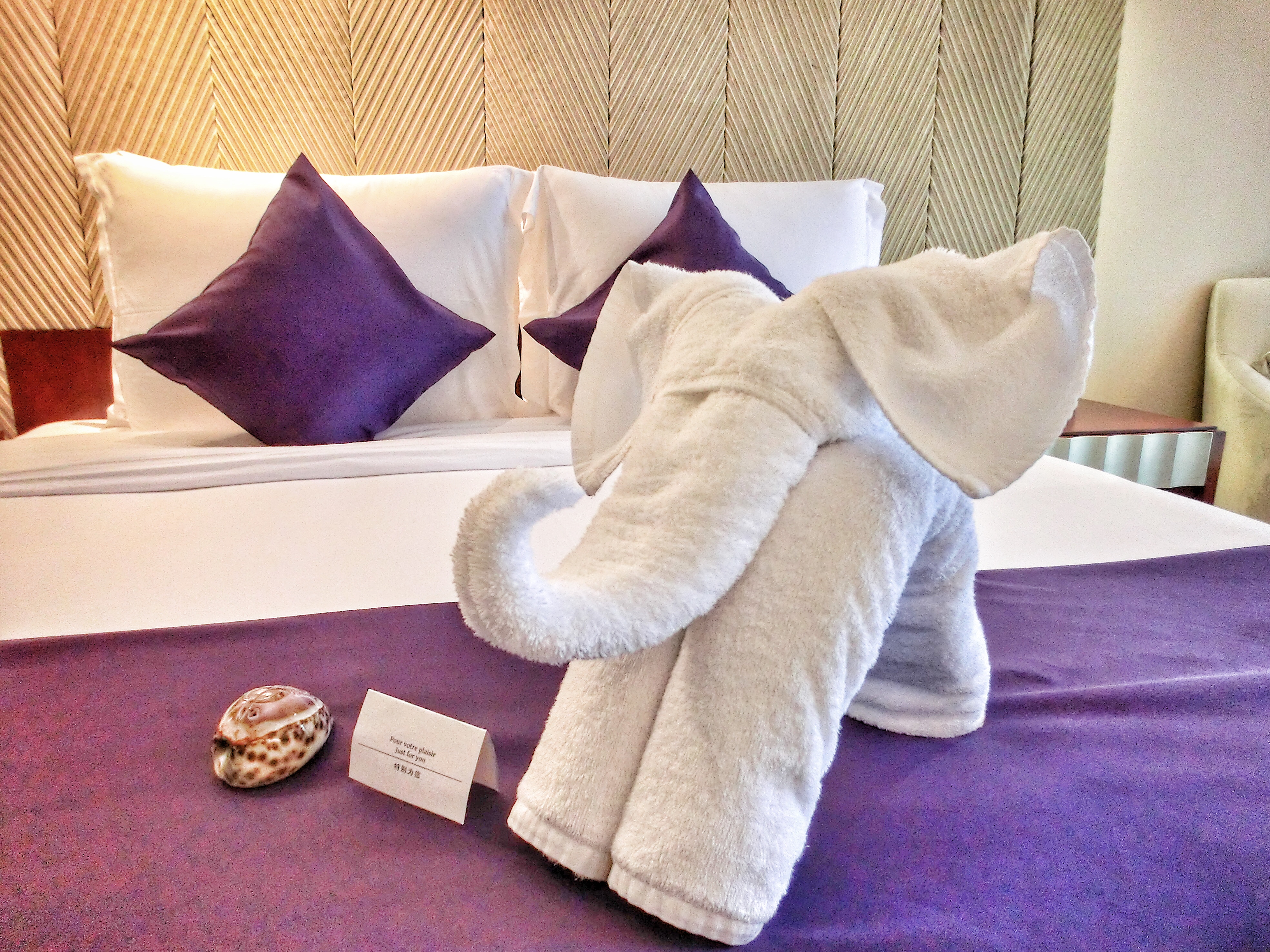 毛巾大象守候在床上,静静地等待我们.