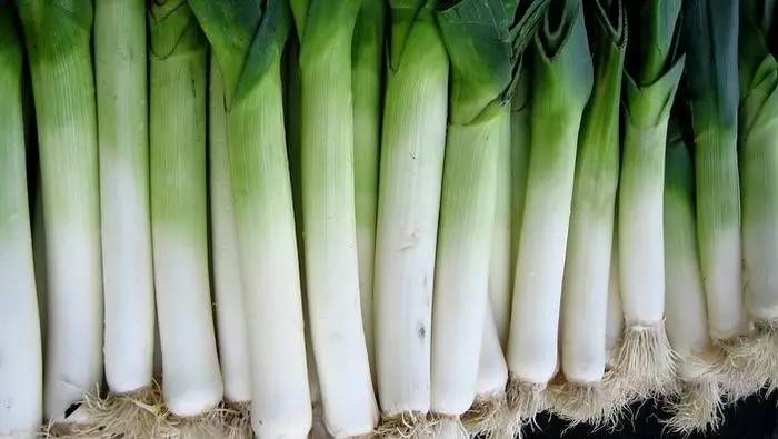 大葱( leeks)