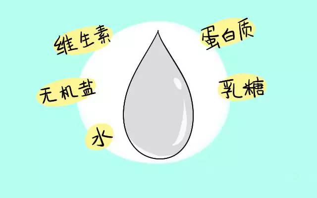 就像是水一样的液体,里面的蛋白质,乳糖,维生素,无机盐和水的含量都很