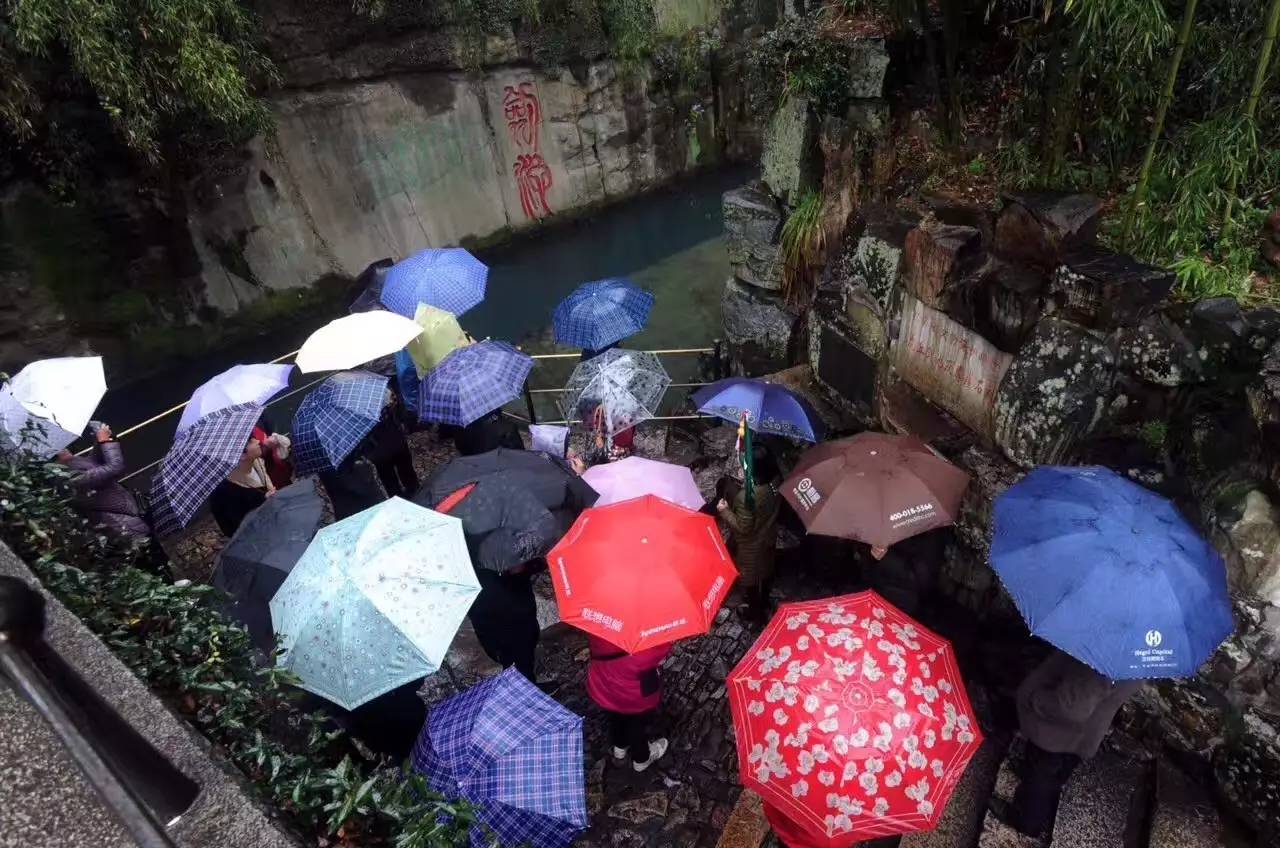 【醉美雨景】虎丘"雨中花",美轮美奂,赶紧收藏吧!