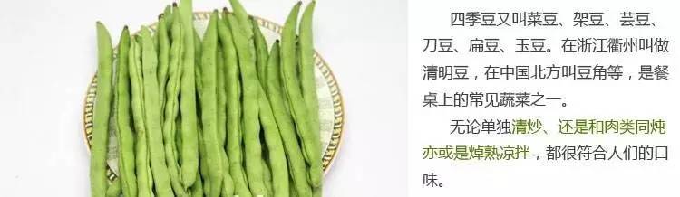 四季豆