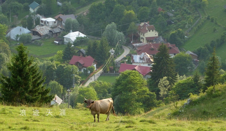 罗马尼亚的农村就是田园风景,假如和中国的农村山水相比,网友们更喜欢