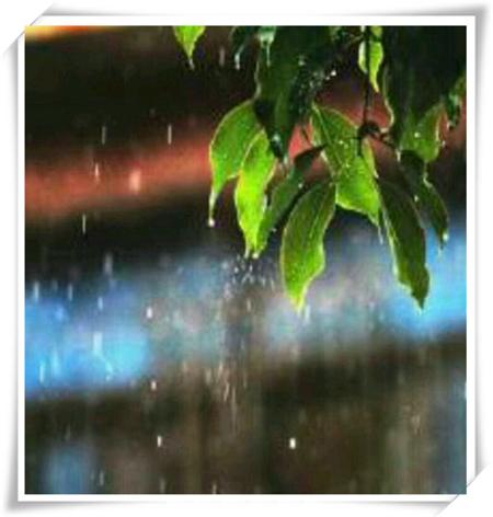 雨中什么的成语_雨中漫步图片(3)