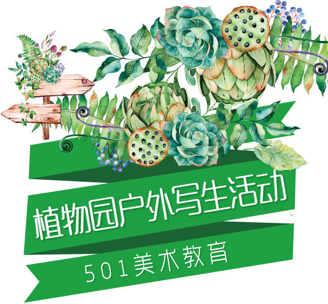 501植物园户外活动写生回顾