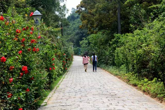 荔园雅客   沿途有梅山公园,梅林水库,塘朗山公园等风景秀丽的深圳