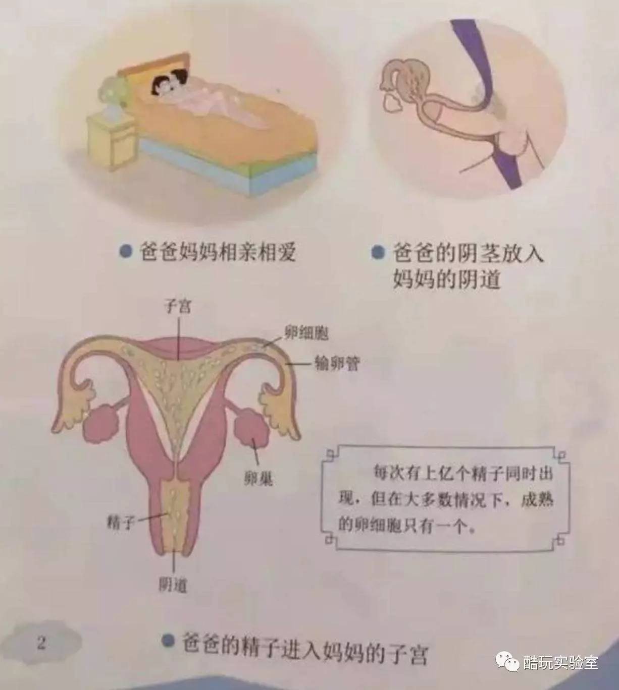 反黄之盾手机版怎么用