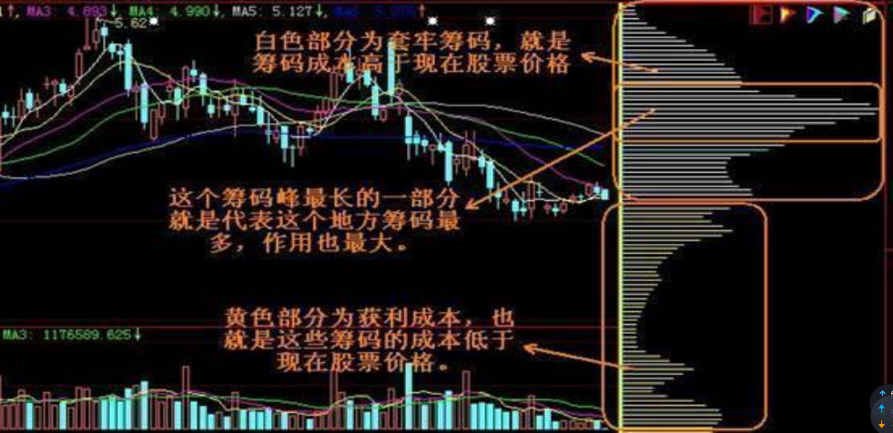 堵姓人口有多少它的分布情况_全国老人有多少人口(2)