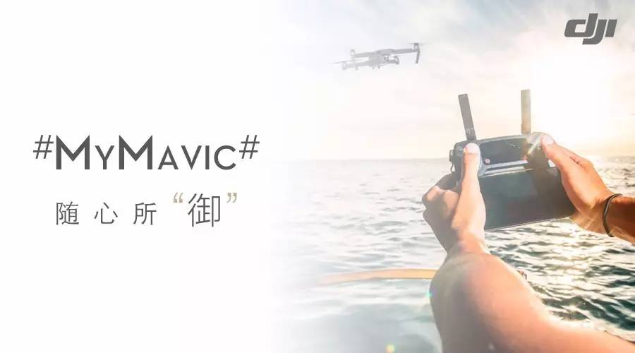 ͼ˵ΪMavic Proòһ