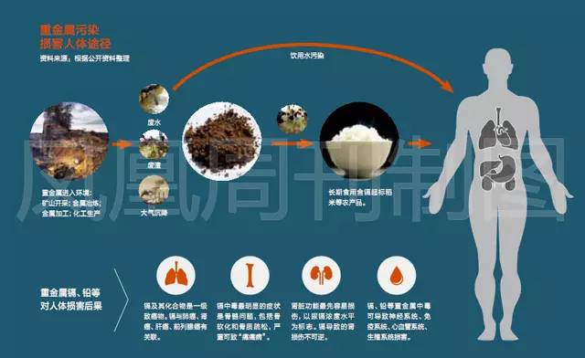 纺织品中残留重金属类别及其危害性