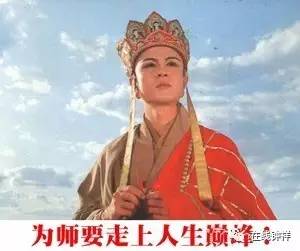 为了升职加薪,走上人生的巅峰,唐僧派徒儿去抓野味儿,师徒4人差点儿