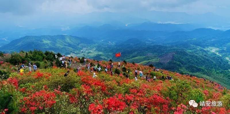 香田乡翠冠梨园 花 期:3月18日—4月中旬 杜鹃花 观赏点:璪都白崖山