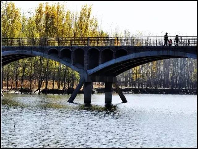 沧州黑龙港河桥危桥,年底修复成功