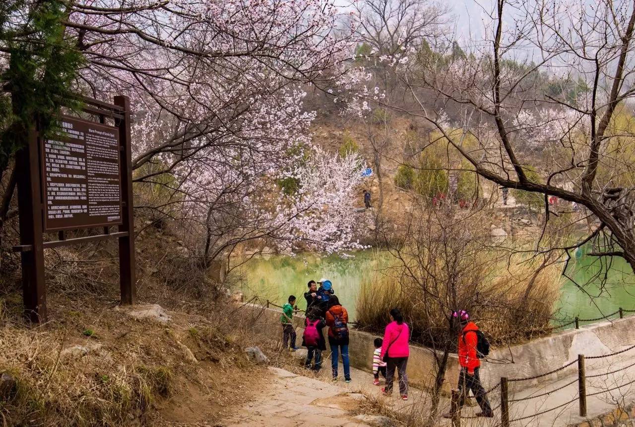 【图说】昌平后花园风景区邂逅"十里桃花"