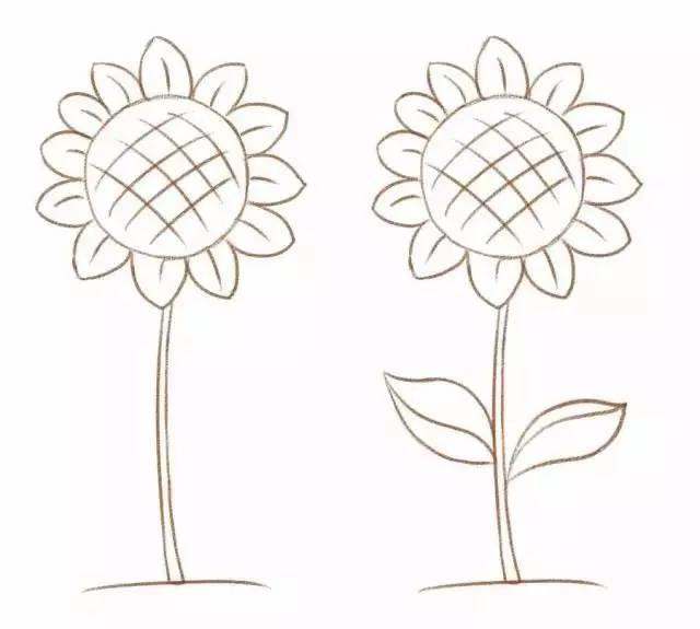 儿童简笔画:六种常见花的画法,教孩子掌握起来