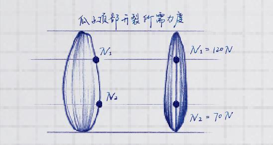 给吃瓜群众安利一个新技能：如何优雅地嗑瓜子