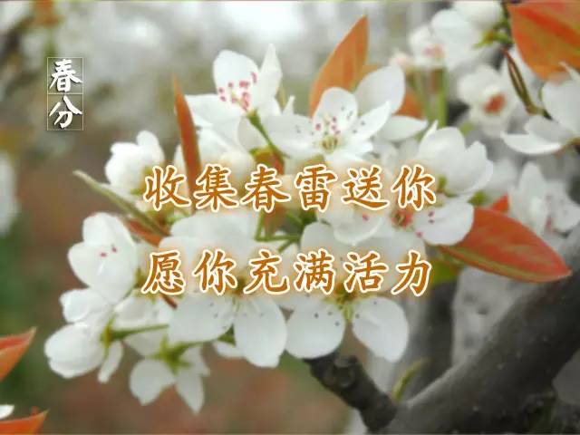 愿你日子更轻松 一年好运从春分 真诚祝福送给身边的人 愿你们快乐每