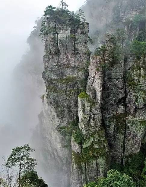 丹峰挺拔,朱崖壁立,峡谷幽深,绝壁险崖,和张家界有几分相似之处.
